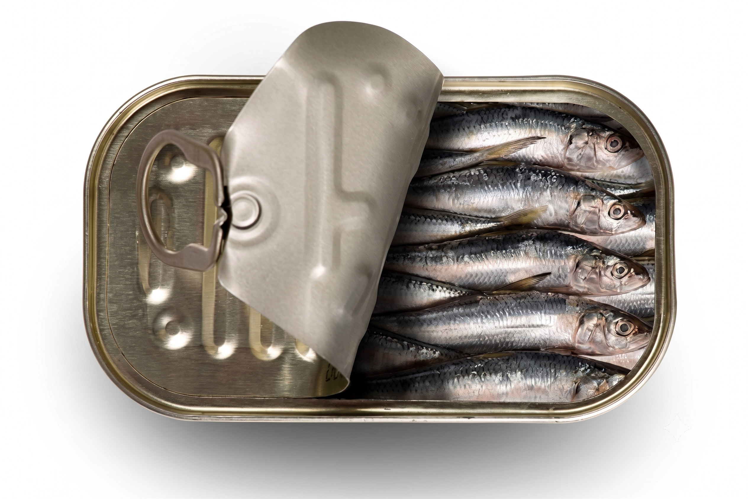 Conservas de pescado y productos marinos
